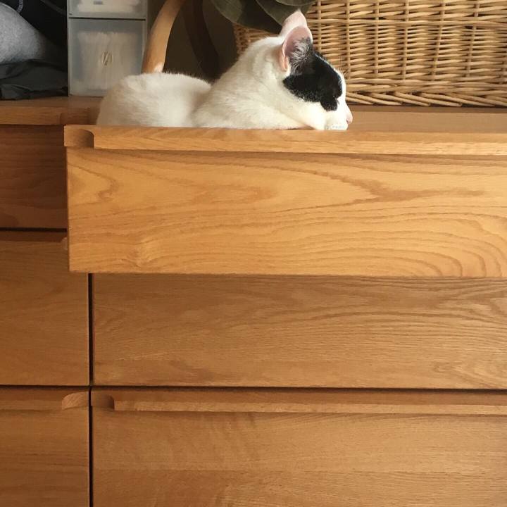 8a6fe2bb 046b 461f a718 08dafdfad099 1590443515000