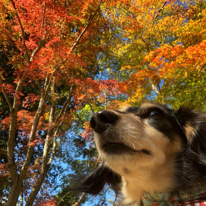 8a703956 8a3d 4553 aaa8 4584c3fc3ffd 1573531171698