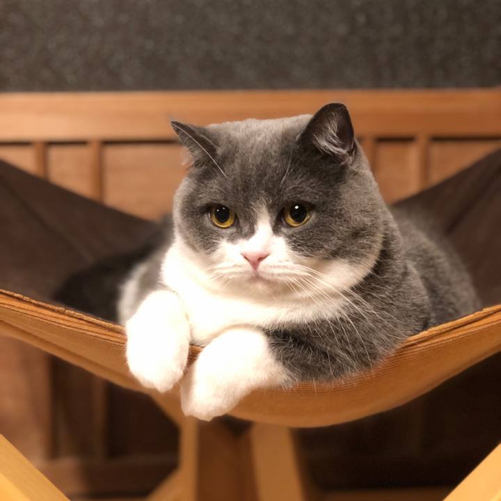 8a70455c 5cfd 4cf2 90cc 7932efef7556 1608300443727