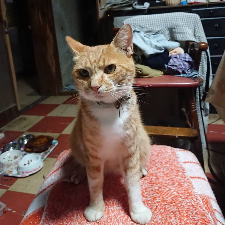 8a70b180 b7c2 43f0 9dae a472a05cc9fa 1596225269204