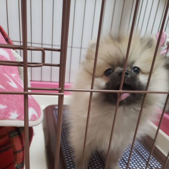 8a70d9c5 be31 4898 9761 f04a077c121a 1610664599804