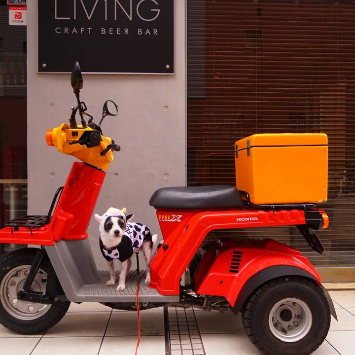 8a70ea69 bead 41af 8da7 551a835e4a29 1609500656844