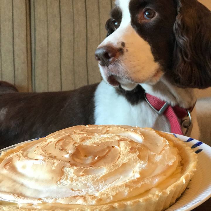 8a710c9e a1f4 4624 8f2e 00f49521edde 1512447492460