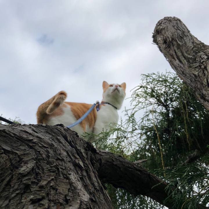 8a713d52 ae80 4eaa 9add 6f08a6eef985 1539917493202