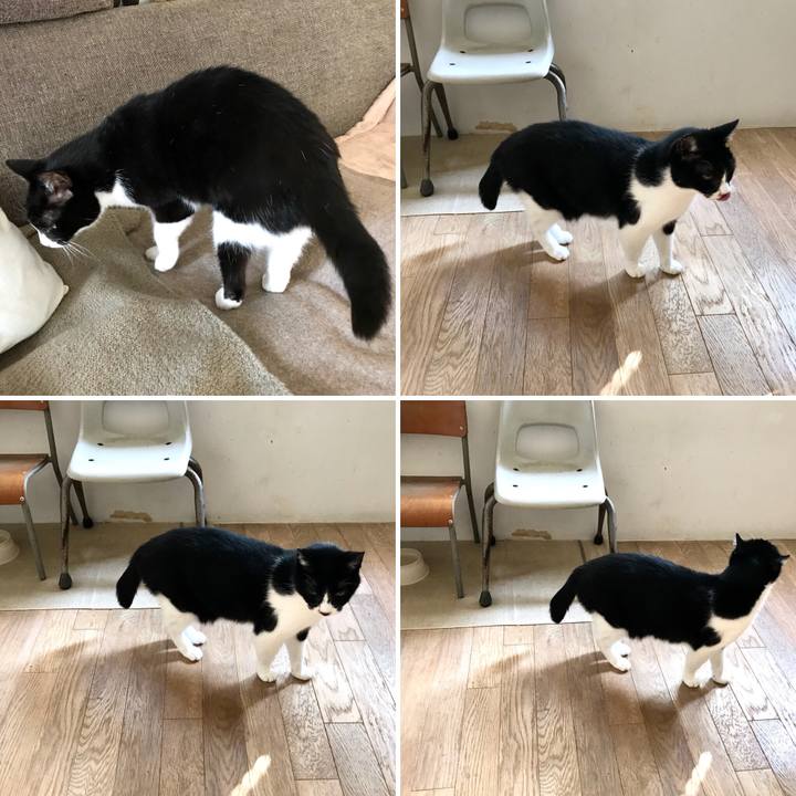 8a714938 3c8f 42a1 9bfc b12bd43577dc 1516634114913