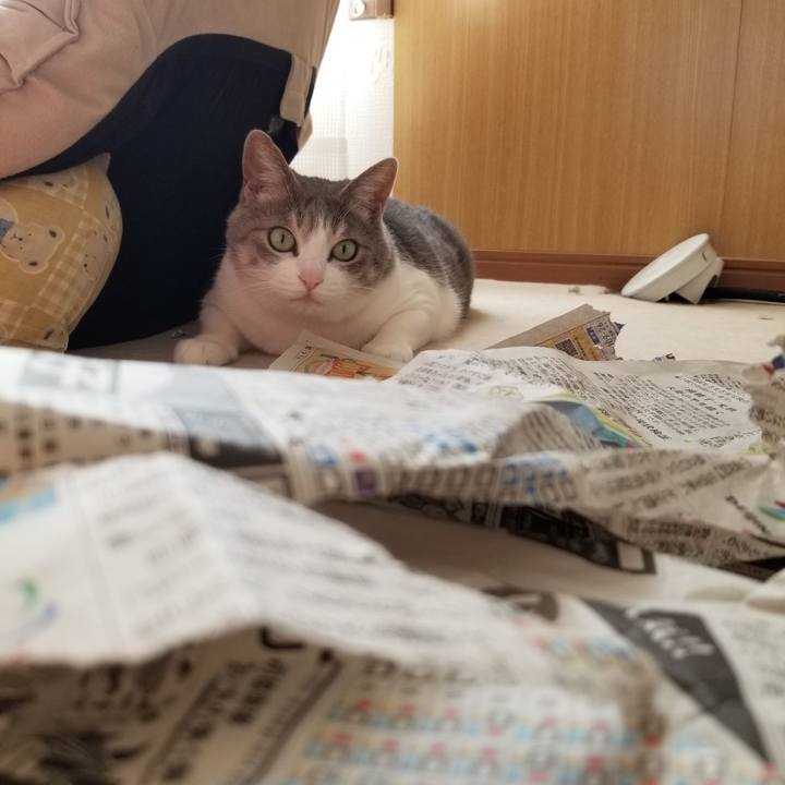 8a715b96 e455 4a5a 9126 8675803e3290 1646786475606