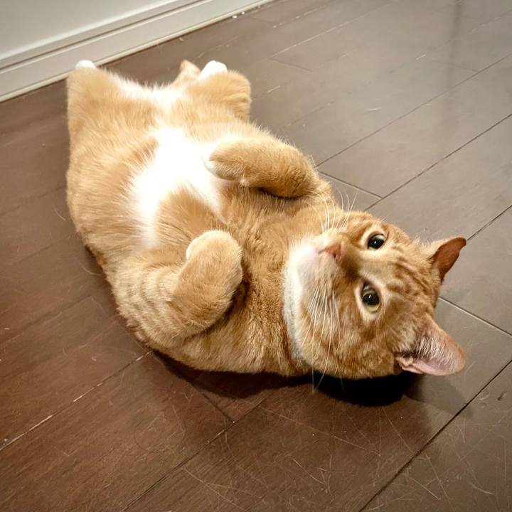 8a716b26 c217 4186 b4fd 55611ef2ee08 1681826267008