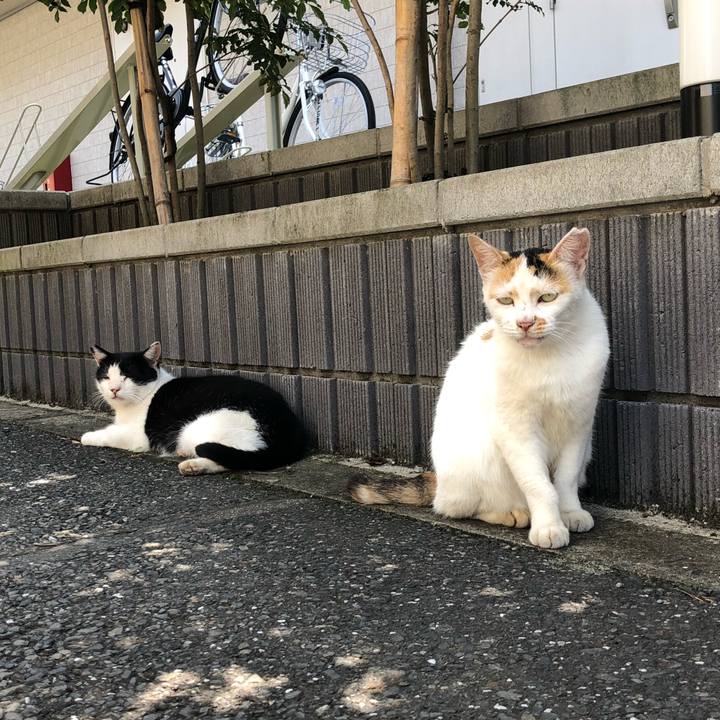 8a71c669 1495 4939 bb17 e63c7defd6b7 1599975718081