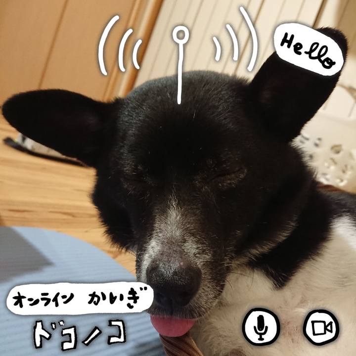 8a71f1f0 e3c0 4024 8658 decae474bd94 1590847887965