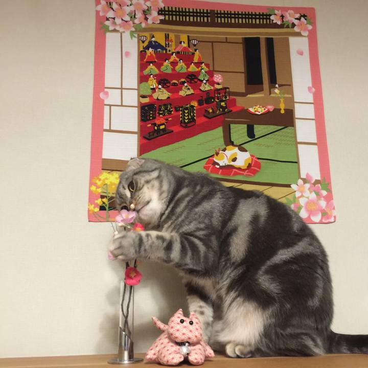 8a7239e2 9d4c 4645 a39f c2655af23d60 1614719129034