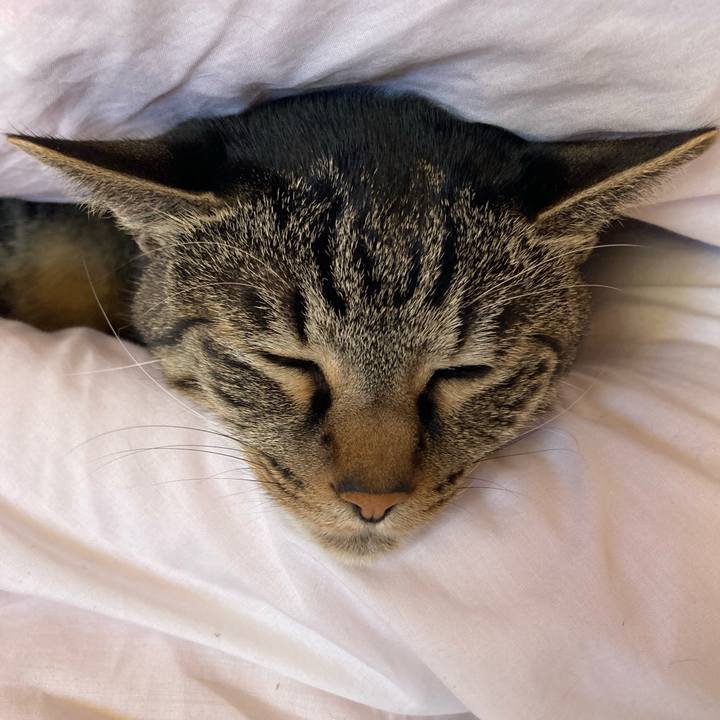 8a724aa2 fa1e 4002 b44e 76d722aeb409 1675409194575