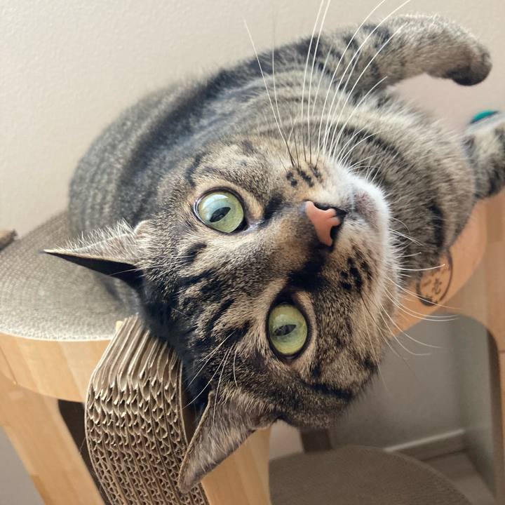 8a726ced 9ec5 404f a197 1b2b77e52361 1715643722879