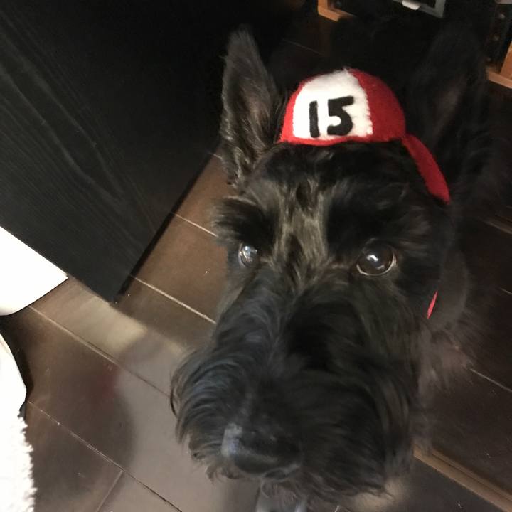 8a7288a3 ad2f 487c b635 24bfc1f5156c 1521083852562