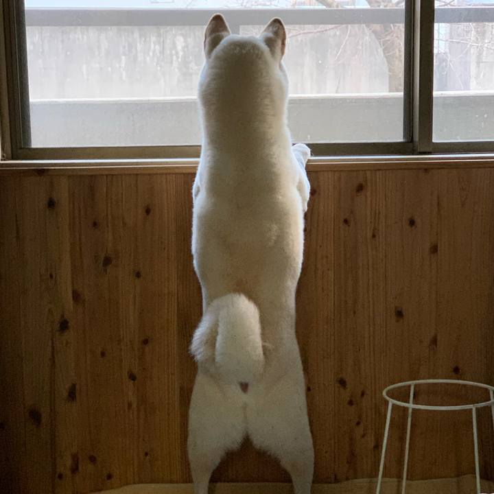 8a7292d4 39a1 4d11 9910 9b91e95588c8 1576115177541