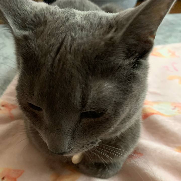 8a72c594 ad8e 4ae1 9832 348f08a45e67 1625525021307