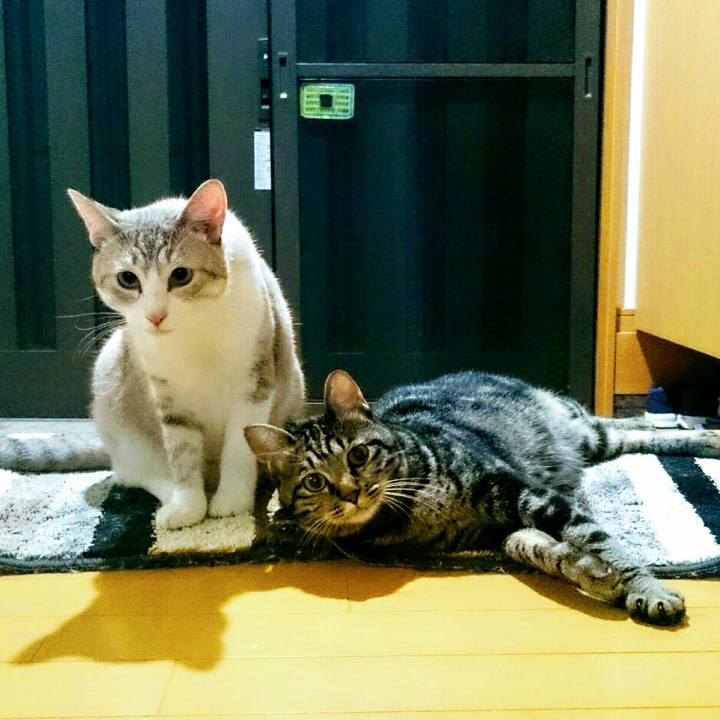 8a72ccbe 5697 4b9e 9615 9f39871df5eb 1537362770457