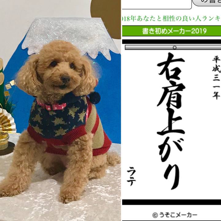 8a72db41 c158 40a5 b6d1 ea8e6c57f413 1546520737232