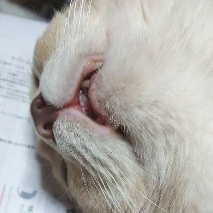 8a733a4e 0512 4c7c a735 a3827d32ea78 1595530363716