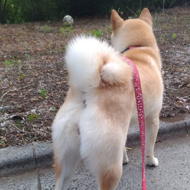 8a73894c 4018 4e67 9050 2ec6a45c8008 1559818147238