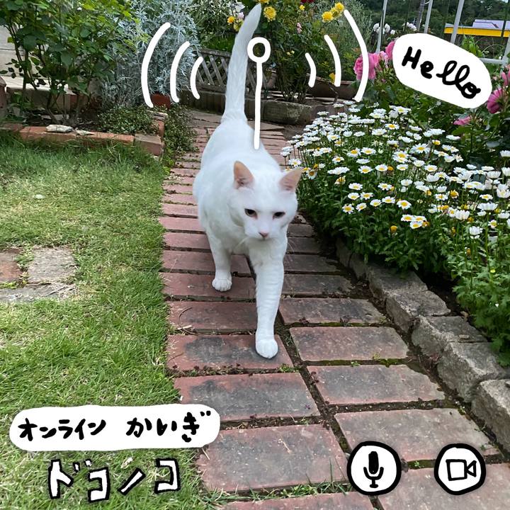 8a73b14e 1172 4dec 91b7 f7a315491f9e 1590960338901