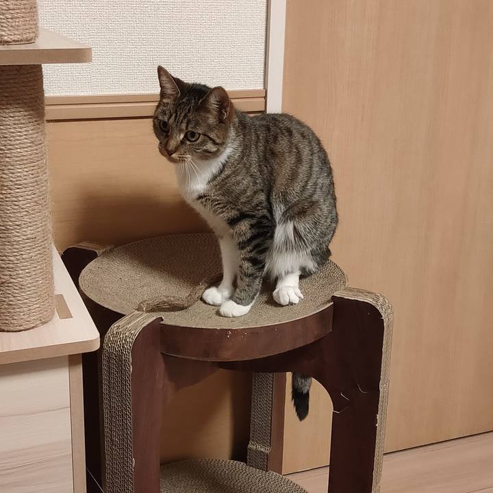 8a73b955 e9be 4080 894d 361df9d46157 1679224767530