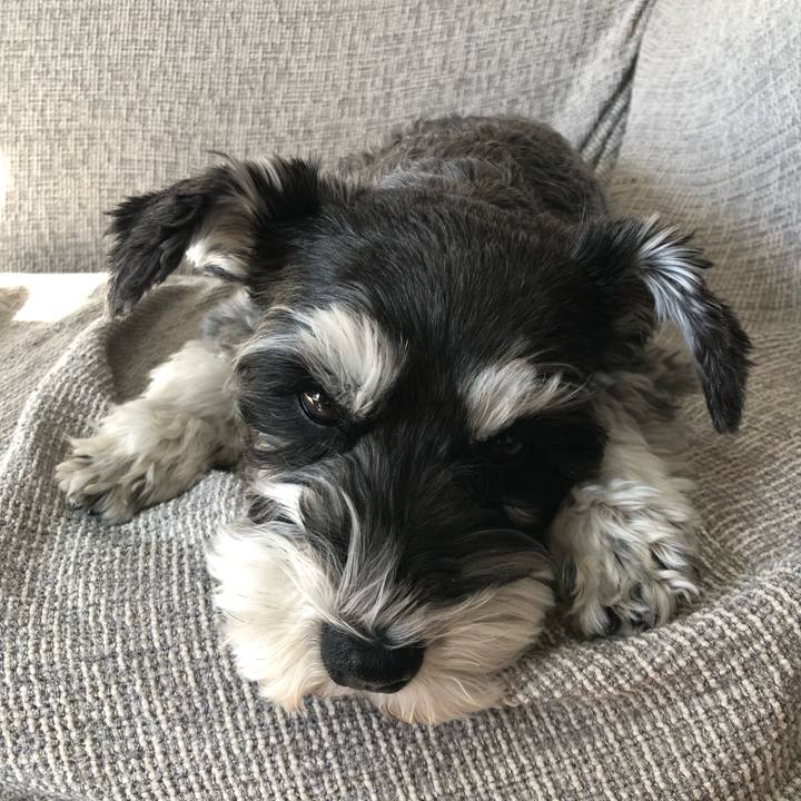 8a73e13f 39fe 4d0e a54e c9d99ea7c2c3 1736561172751