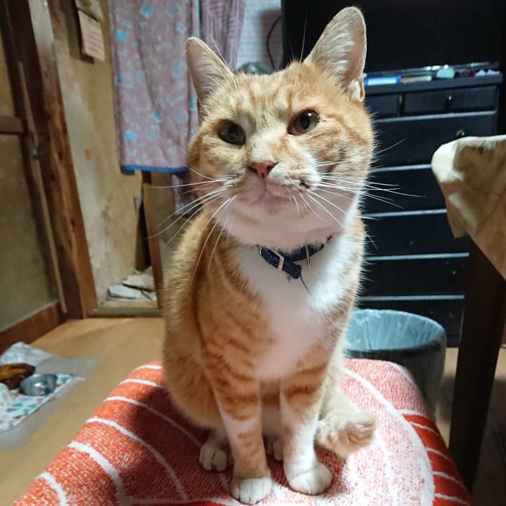 8a7403bb a9d3 493f abc7 ede77478efd1 1605728921261