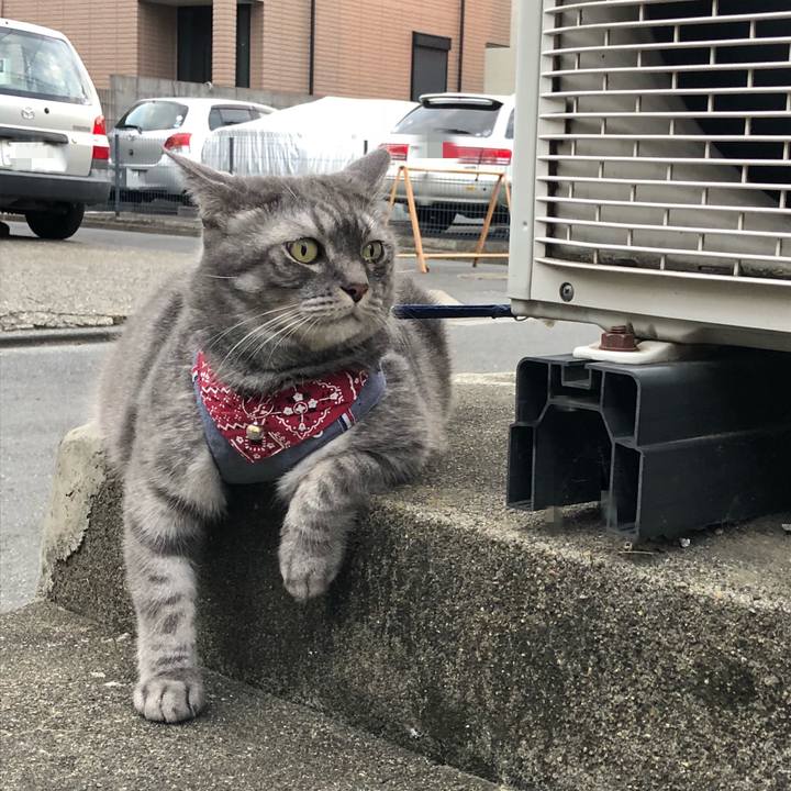 8a741948 c347 4ff2 81bb 3e67c11e9b58 1535775344413