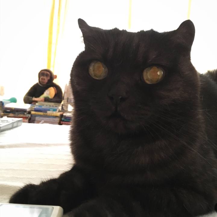 8a74326b aebd 4e7b baa8 ad4eb1abff40 1532571056305