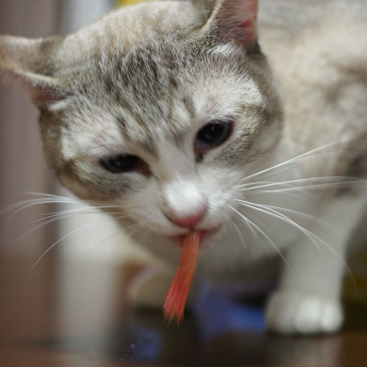 8a743e91 f223 44e7 a98f 1b92af691171 1532950189490