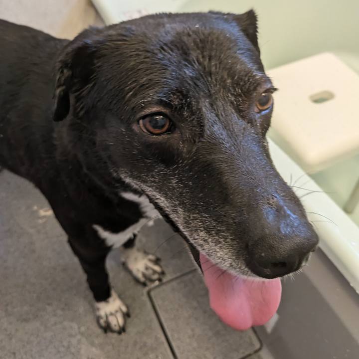 8a745c57 d23d 4ba0 be61 7352ee3cc2e5 1714043605518