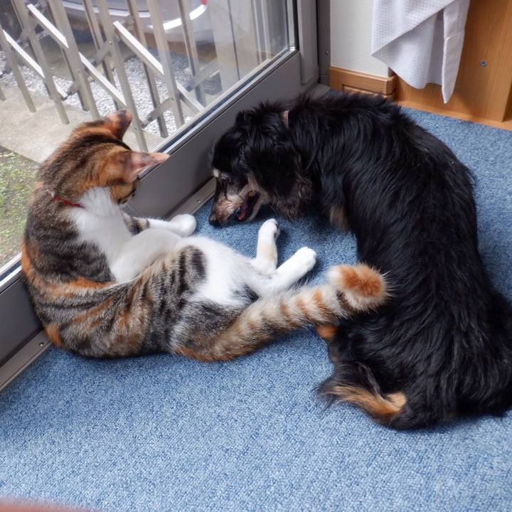 8a746a67 4b1d 4567 96bf 68d042e59e2c 1632362015377