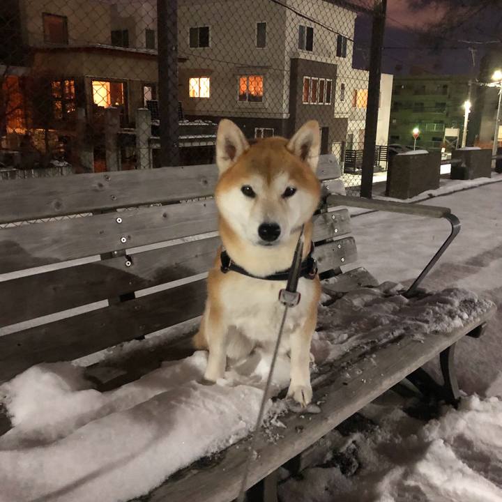 8a747b28 ff12 48a5 a23d 441ac6819317 1578559272322