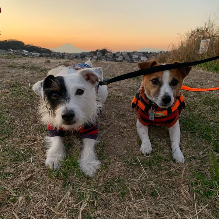 8a74821f c022 4389 937f 2e8ccf39bfdb 1546677100635