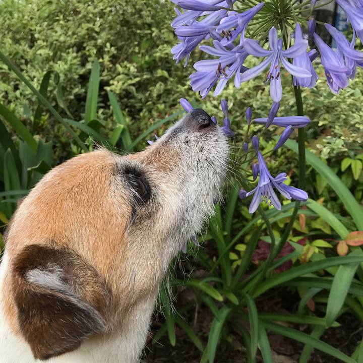 8a7484af 2a13 49ff bd50 7bf1c5b5dd2e 1593387403597