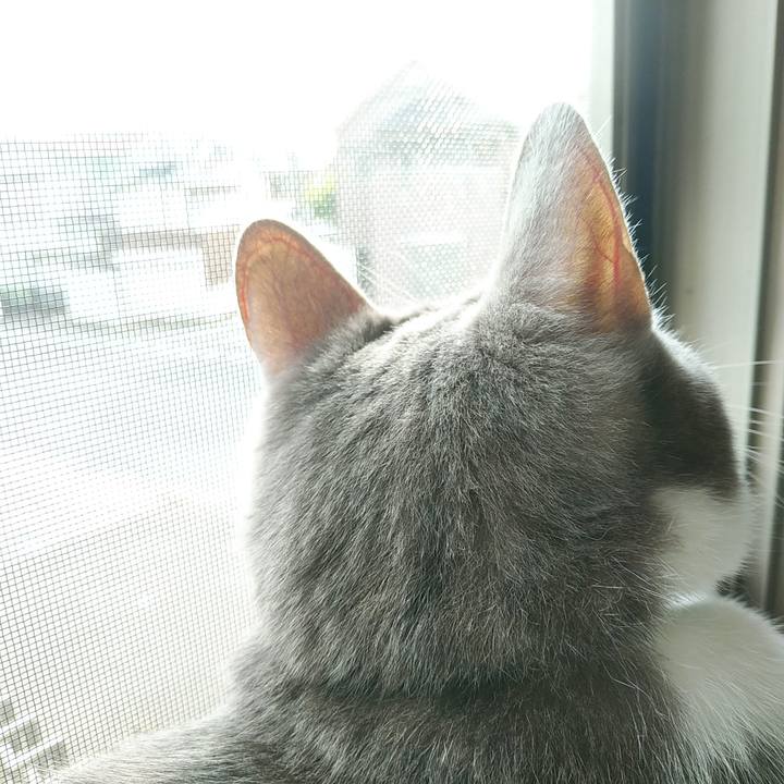 8a74b50a 30e3 4b76 8675 95063cbe718e 1593900750353