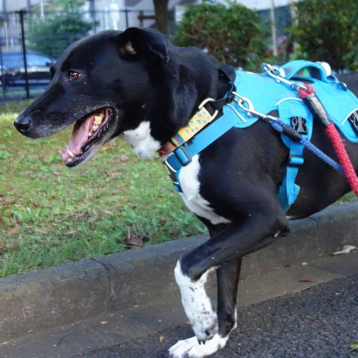 8a74d386 0b30 4ea6 a2c6 a734de618dea 1632099430019