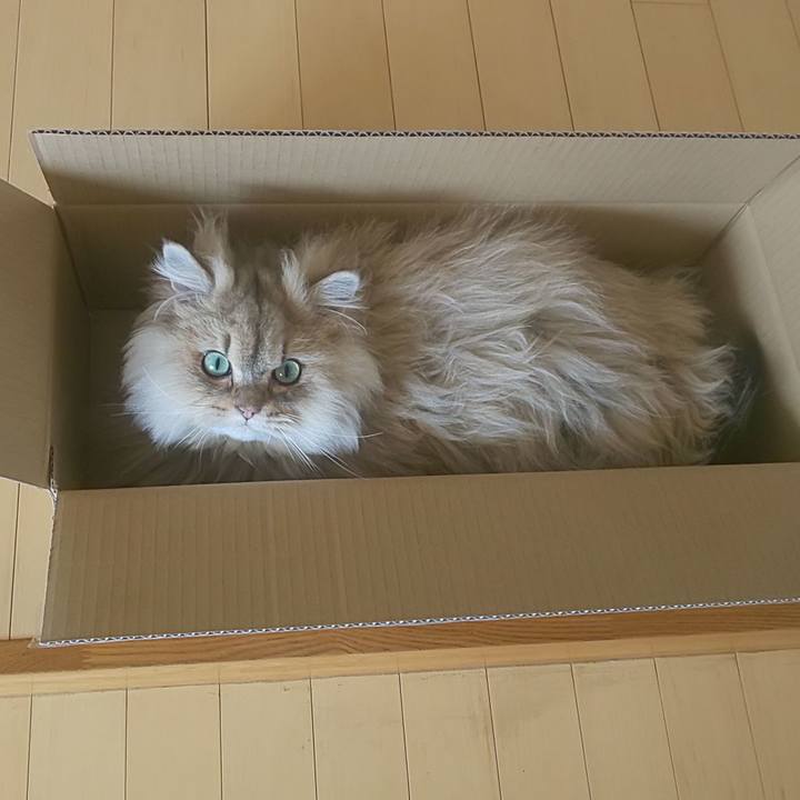 8a74ffc8 2fa6 45c5 bef4 737f1e5fc7b0 1582172398800