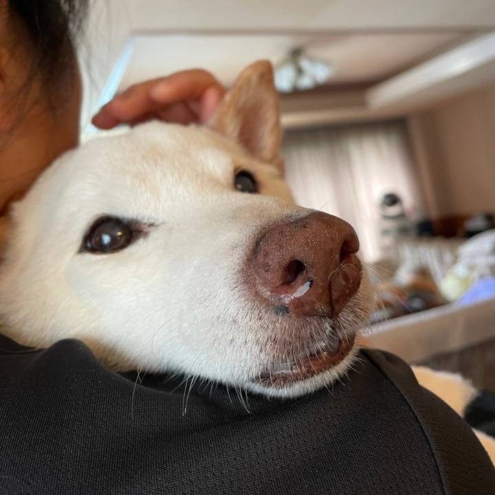 8a751abe 923b 48ba b138 d64e3b79234c 1657159034150