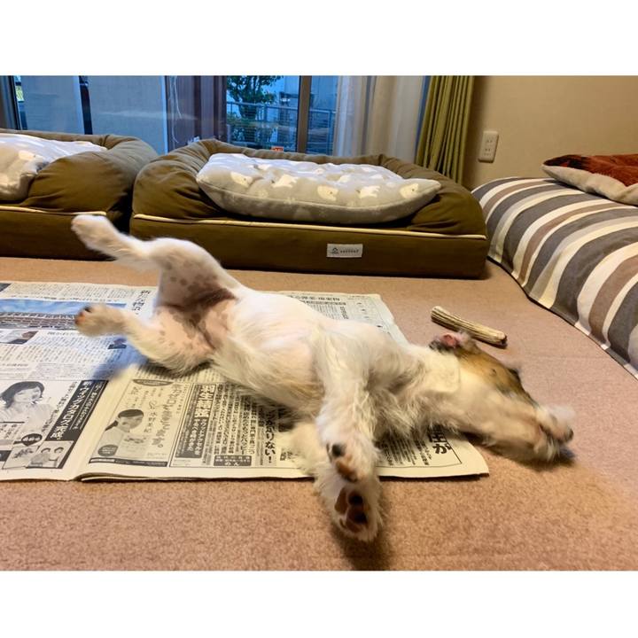 8a751c3e e5d3 4515 af50 b9cec1d9a381 1576485465927