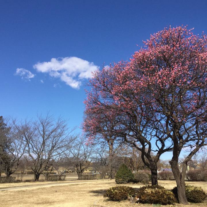 8a752c89 3e3b 40f1 a23c a5b352587ac3 1612843814906