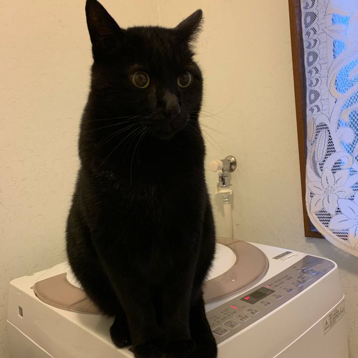 8a7549b5 9f96 45b3 a00d 5875cbe61a4f 1548551553001