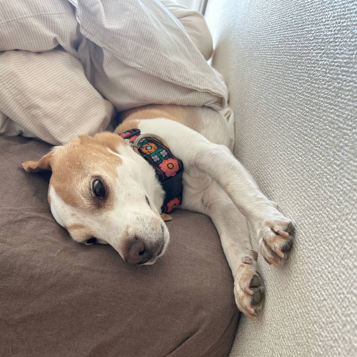 8a754fa6 e9a5 4121 a2a3 c41f7abba125 1740310830648