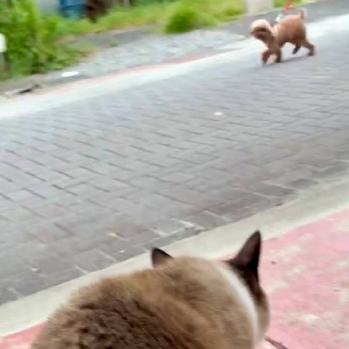 8a75f32b 7635 4b91 b7eb 3b9b43ff5c1f 1746099510610