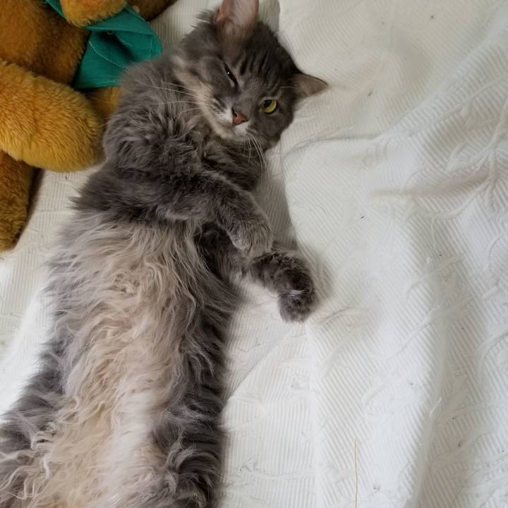 8a760162 4a3a 48c8 991a c5b4b5381be2 1535501969277