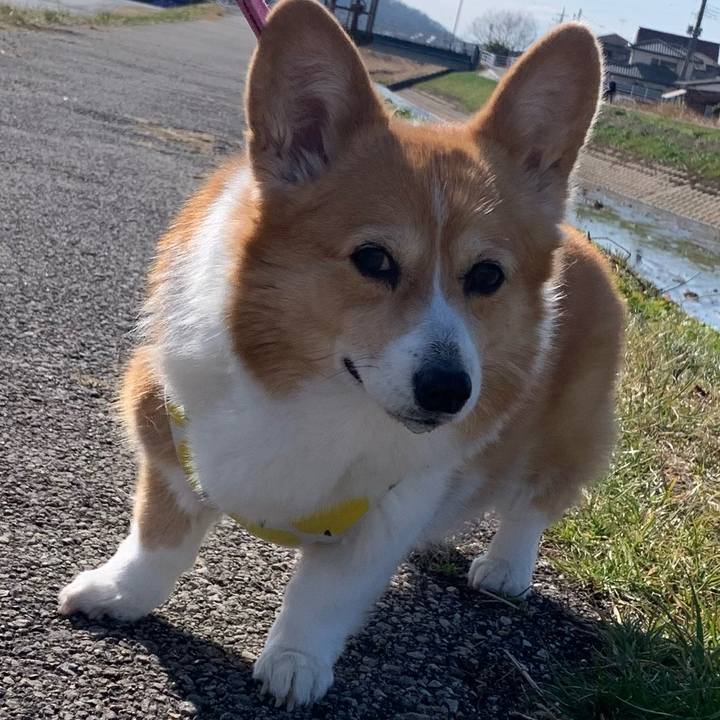 8a7657b6 8f15 4f29 aa64 6786b7a61b1a 1707366343792