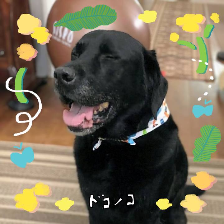 8a765921 23db 4f1f 86f5 b2e5ea326458 1744759160071