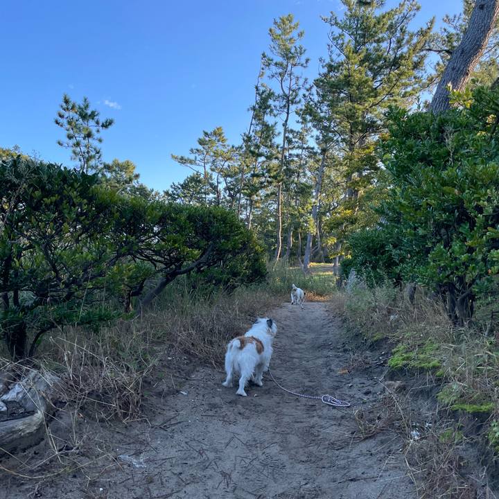 8a766e5d 7f5d 49a4 94be 0ca584ed1ef9 1666912947991