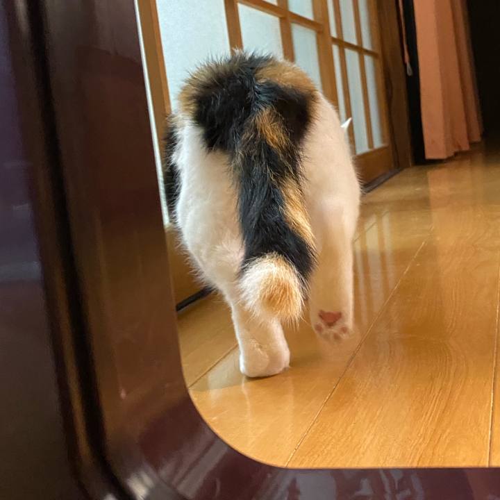 8a7678c4 c586 4f30 98f3 2d4cc8b1e921 1661807457505