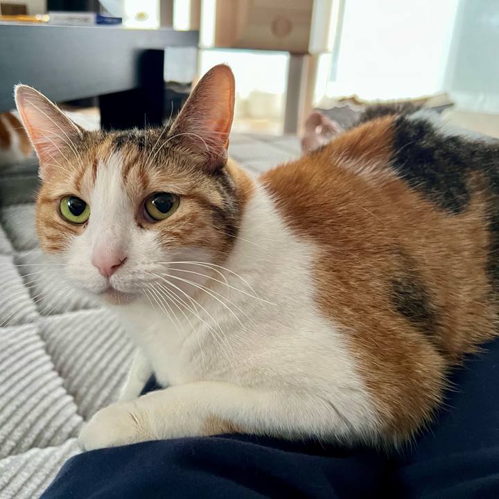 8a76a6c4 8e21 41ae a2e4 ad96ec163d05 1772506492356